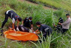 Kecelakaan Tunggal Motor di Pandak Bantul Renggut Dua Nyawa Pelajar
