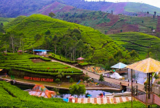 Pesona Tersembunyi Transformasi Destinasi di Jalur Pantura Brebes Paling Berkesan Tak Terlupakan