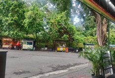 Jelang Nataru, Sleman Kebut Pembenahan Jalan Utama Progres Fisik Tembus 99 Persen