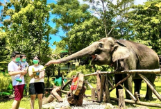 Liburan Lebaran 2026 Paling Edukatif dan Hemat di Yogyakarta