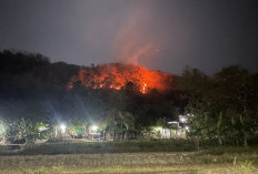Lahan Sultan Ground dan Milik Warga di Imogiri Terbakar, Polisi Masih Selidiki Penyebab Api