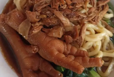 Berikut Mie Ayam Paling Enak dan Legendaris di Jogja jadi Destinasi Favorit Mahasiswa 