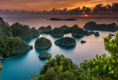 Raja Ampat Jadi Surga Bawah Laut Indonesia Paling Sering Jadi Incaran Turis, Berikut Informasi Selengkapnya
