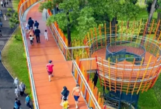 Liburan Hemat di Jakarta? Bisa Dong! Nih Tempat Piknik Seru Tanpa Bikin Boncos