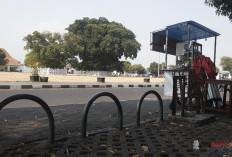 Viral Food Truck Di Alun-Alun Kidul, Keraton Minta Dugaan Pungutan Ditindaklanjuti Pihak Berwenang