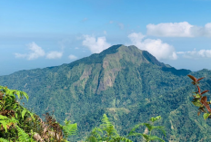 Menjelajahi Keindahan pesona Alam Desa Wisata Unggulan di Kabupaten Kudus, Berikut Informasi Selengkapnya