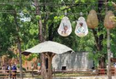 Liburan Hemat Keluarga di Solo Safari 2026, Kupas Tuntas Manfaat Kids Pass yang Wajib Dimiliki