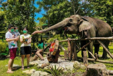 Rekomendasi Wisata Keluarga Terbaik di Jogja untuk Liburan Seru Bareng Keluarga