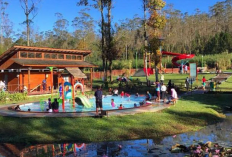  Destinasi Hits dan Viral Bandung Paling Wajib Dikunjungi, Simak Ulasan Lengkapnya Berikut Ini