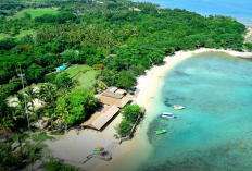 Wisata Alam di Jakarta Masuk ke Daftar Rekomendasi Spot Liburan Terbaik