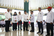 PMI Sleman Salurkan 39.210 Kantong Darah, Layani 150 Ribu Warga Sepanjang 2025