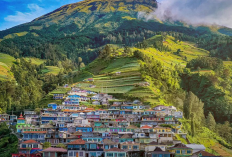 Destinasi Ikonik Kedamaian Nepal Van Java di Atas Awan Lereng Gunung Sumbing, Simak Ulasan Lengkapnya Disini