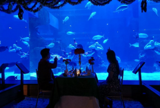 Daftar Eksplorasi Edukasi dan Hiburan Keluarga Indonesia Selama Nataru