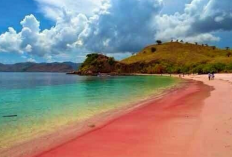 Eksotisme Pantai Pulau Merah Banyuwangi jadi Destinasi Favorit untuk Bersantai