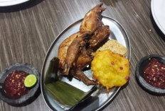 Berikut Ini Daftar Ayam Goreng Enak di Bandung untuk Makan Malam Dijamin Bikin Ketagihan 