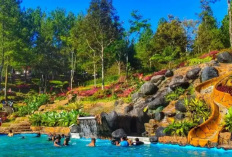 Menjelajahi Pesona Wisata Pacet Mojokerto Jadi Destinasi Edukatif dan Terjangkau untuk Liburan 