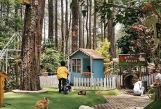 Destinasi Sempurna Healing di Bandung yang Lagi Hits Cocok Untuk Melepas Penat