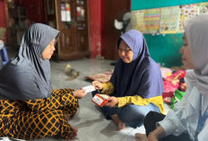Evanti Sukses Kembangkan Usaha BRILink Jadi Andalan Transaksi, Holding Ultra Mikro Tingkatkan Kesejahteraan