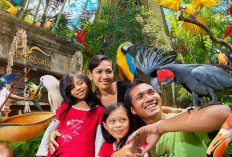 Keajaiban Sayap di Pulau Dewata dan Promo Fantastis Bali Bird Park 2026