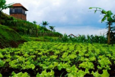 Nikmati Rekreasi Seru, Edukatif Tempat Wisata di Cimahi Paling Hits untuk Liburan Keluarga