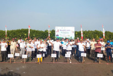 Menteri LH Ajak Masyarakat Brebes Tanam 2.045 Mangrove, Cegah Abrasi Pulihkan 770.000 Hektare Lahan Mangrove