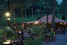 Amazing dan Instagramable! Cafe Estetik Pasuruan 2025, Cocok Buat Nongkrong Anak Muda Kekinian