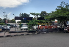 Curhat Pengelola Senopati Jogja: QRIS Sukses, Tapi Parkir Bus Dilarang