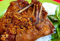 Rekomendasi Nasi Bebek Terenak di Sidoarjo dengan Sambal Nendang dan Bumbu Meresap 