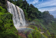 Pesona Memukau Air Terjun Curug Sewu Kendal, Air Terjun Tertinggi di Jawa Tengah 