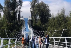 Menantang Adrenalin di Bromo Sky Bridge, Objek Wisata Terbaru dengan Pemandangan Memukau