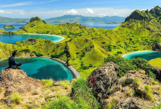 Wisata Labuan Bajo, Eksplorasi Alam Eksotis dan Budaya yang Menawan