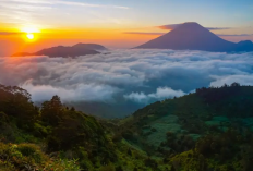 Healing Terbaik Destinasi Wisata Sejuk yang Ampuh Menenangkan Pikiran dan Melepas Penat