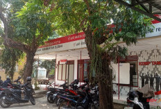 Sejumlah Lurah di DIY Minta Penundaan Serah Terima Aset Koperasi Merah Putih, Ini Alasannya