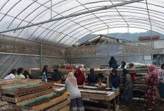 Sinergi Ultra Mikro BRI, Perempuan Nasabah PNM Mekar Bandung Barat Sulap Limbah Jadi Sumber Penghidupan