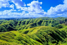 Bak Lukisan, Pesona Indahnya Bukit Tanarara Sumba Magnet Kuat Wisatawan, Simak Ulasan Lengkapnya Disini