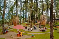 Liburan Seru di Tanaria Park Pasuruan ini Destinasi Wisata Keluarga Paling Estetik