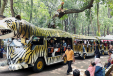 Ragunan Zoo Jadi Primadona Liburan Keluarga dengan Tiket Masuk Paling Terjangkau, Berikut Ulasan Lengkapnya