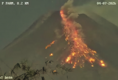 Merapi Luncurkan Empat Awan Panas Guguran dalam Semalam, Warga Diimbau Waspadai Bahaya Lahar dan Erupsi