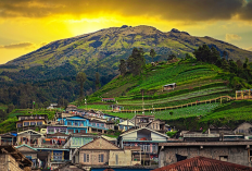Menaklukkan Puncak Gunung Sumbing via Butuh Kaliangkrik, Menikmati Pesona Eksotis Nepal van Java 