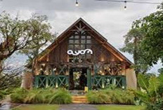 Cantik dan Syahdu! Ragam Cafe Estetik Sleman 2025, Vibesnya Menyatu Dengan Alam Bikin Betah