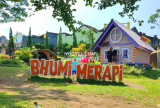 Menjelajahi Agrowisata Bhumi Merapi, Wisata Edukasi dan Fotogenik di Kaki Gunung Merapi