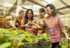 GKR Hemas Dorong Jogja Agro Park Kulon Progo Jadi Taman Edukasi dan Wisata Agro