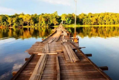 Eksplorasi Danau Jempang Kaltim Perairan Terbesar di Aliran Sungai Mahakam 