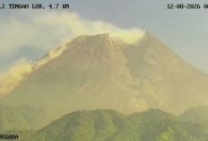 Merapi Dua Hari Berturut-turut Keluarkan Awan Panas Guguran, Status Masih Siaga