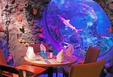 Makan Mewah Dikelilingi Ribuan Ikan, Sensasi Underwater Dining di LEGOLAND Malaysia