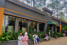 Pesona Strobilus Cafe & Resto, Destinasi Kuliner Estetik Dekat Tangkuban Perahu