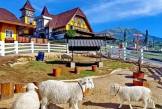 Short Trip Cepogo Cheese Park dari Solo Cocok dijadikan Liburan Seru Cuma Rp 135 Ribuan!