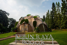 Wisata Edukatif Bogor Lewat Program Experiential Learning di Kebun Raya Bogor