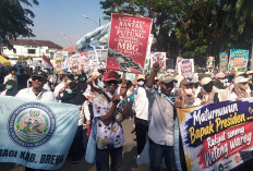 Galang Dukungan Program MBG Berlanjut, Ribuan Karyawan SPPG Brebes Kompak Berorasi Minta Payung Hukum