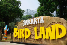 Liburan Edukatif Jakarta Bird Land, Cek Promo Tiket Terbaru dan Jadwal Pertunjukan Burung